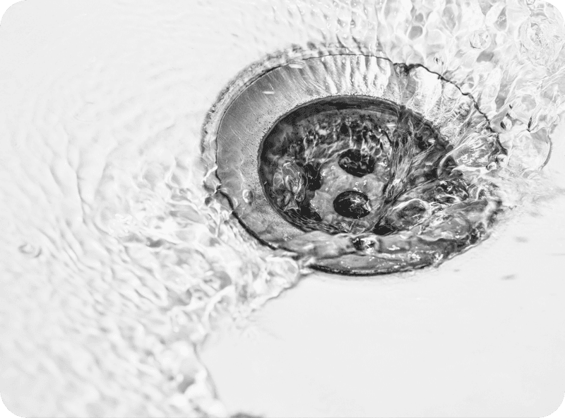 Common Sewer Drain Line Issues