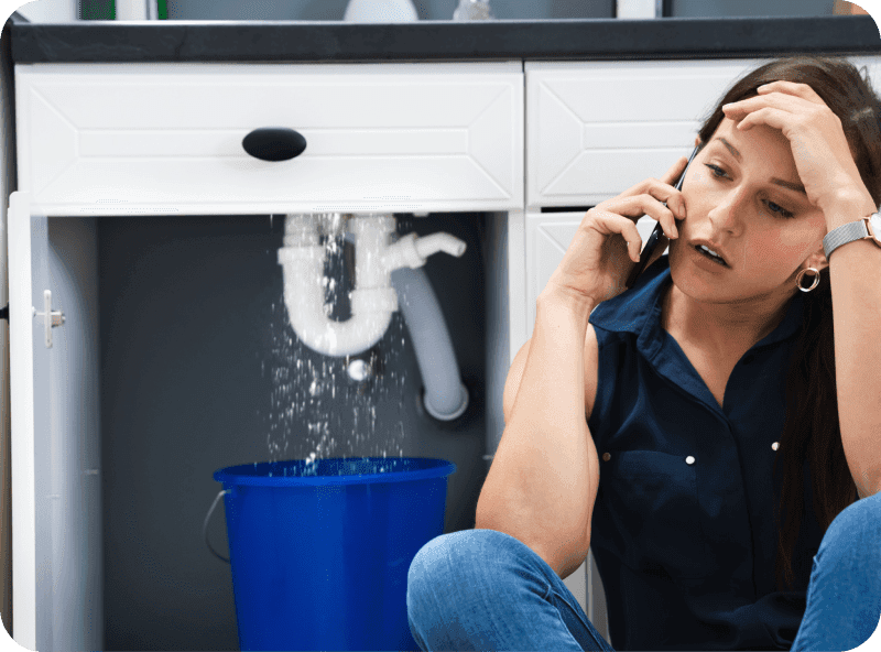 Pipe Leak Smoke Testing