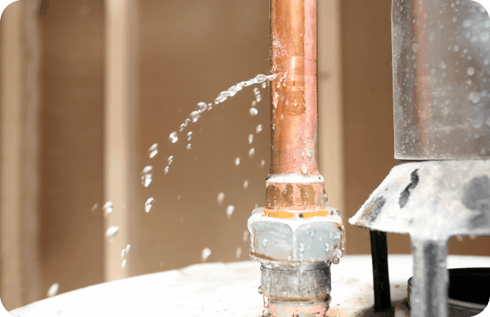 What is Leak Detection?